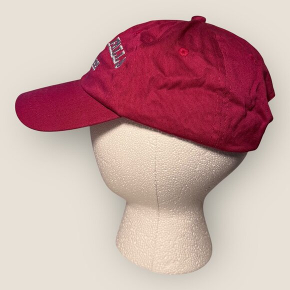 Niagara Falls New York Embroidered Red Baseball Cap Adjustable Youth Size - Picture 2 of 6